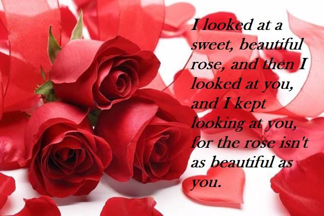 50+ Top Rose Day Images & Quotes to Kickstart Your Valentine's Week