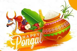 pongal wishes in english