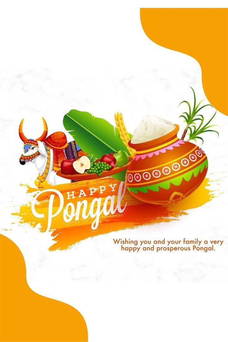 pongal wishes in english