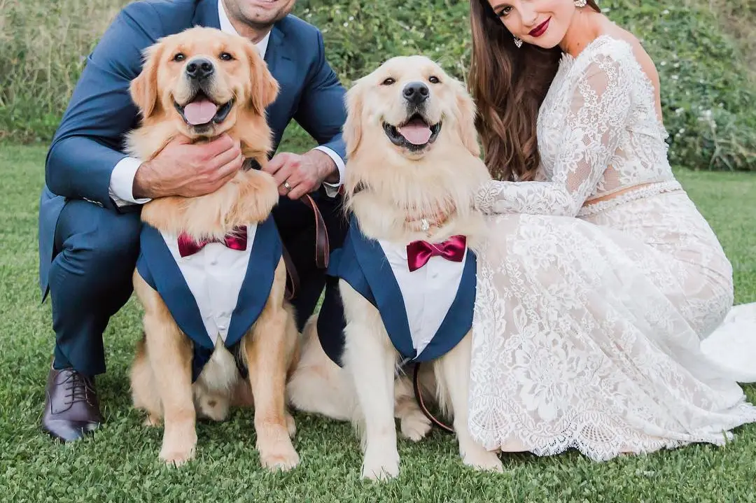 Dog Outfits More for the Fur fect Wedding of the Humans