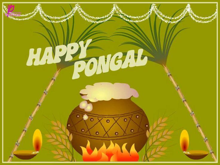 mattu pongal wishes