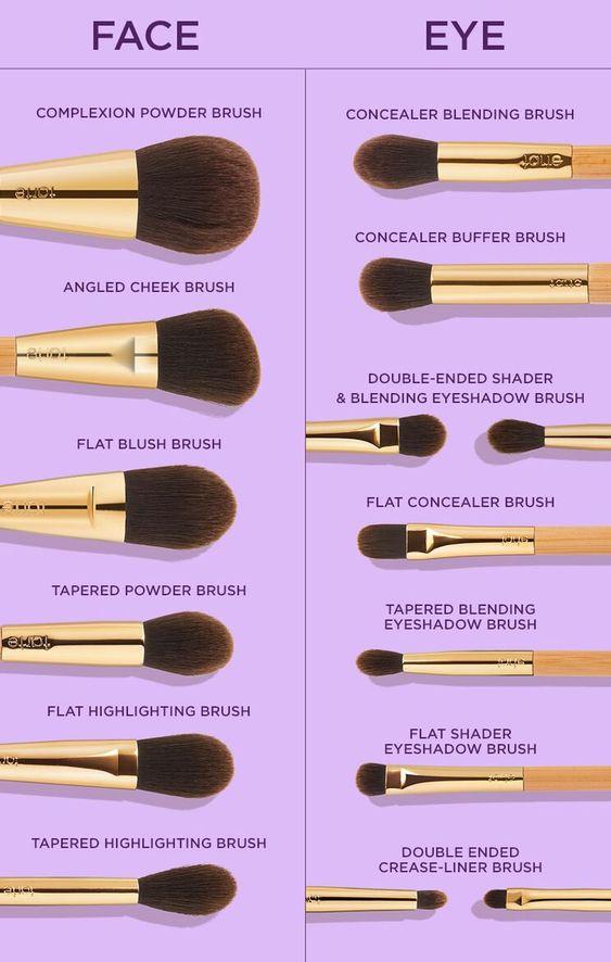 Types of Makeup Brushes and Their Uses with Pictures