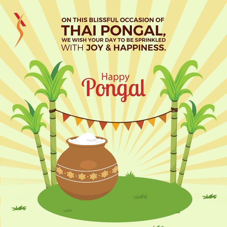 pongal wishes images