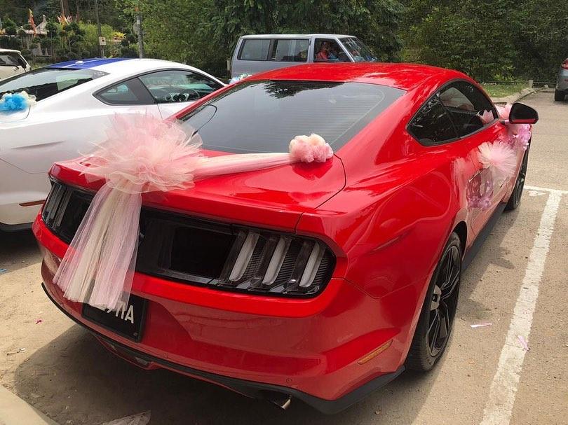 Just Married Car Decoration- Heart Shaped Flowers and Bow for