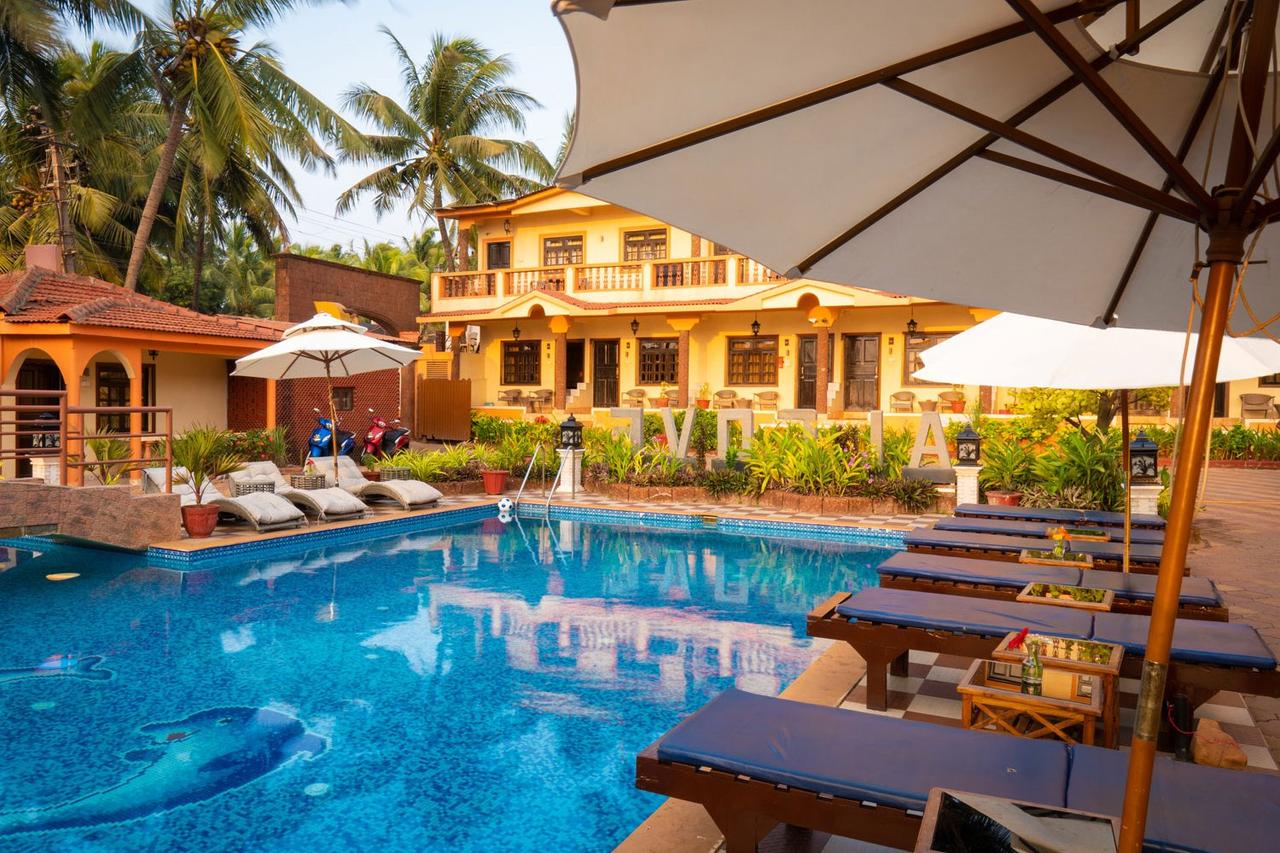 Alcove Resorts, North Goa