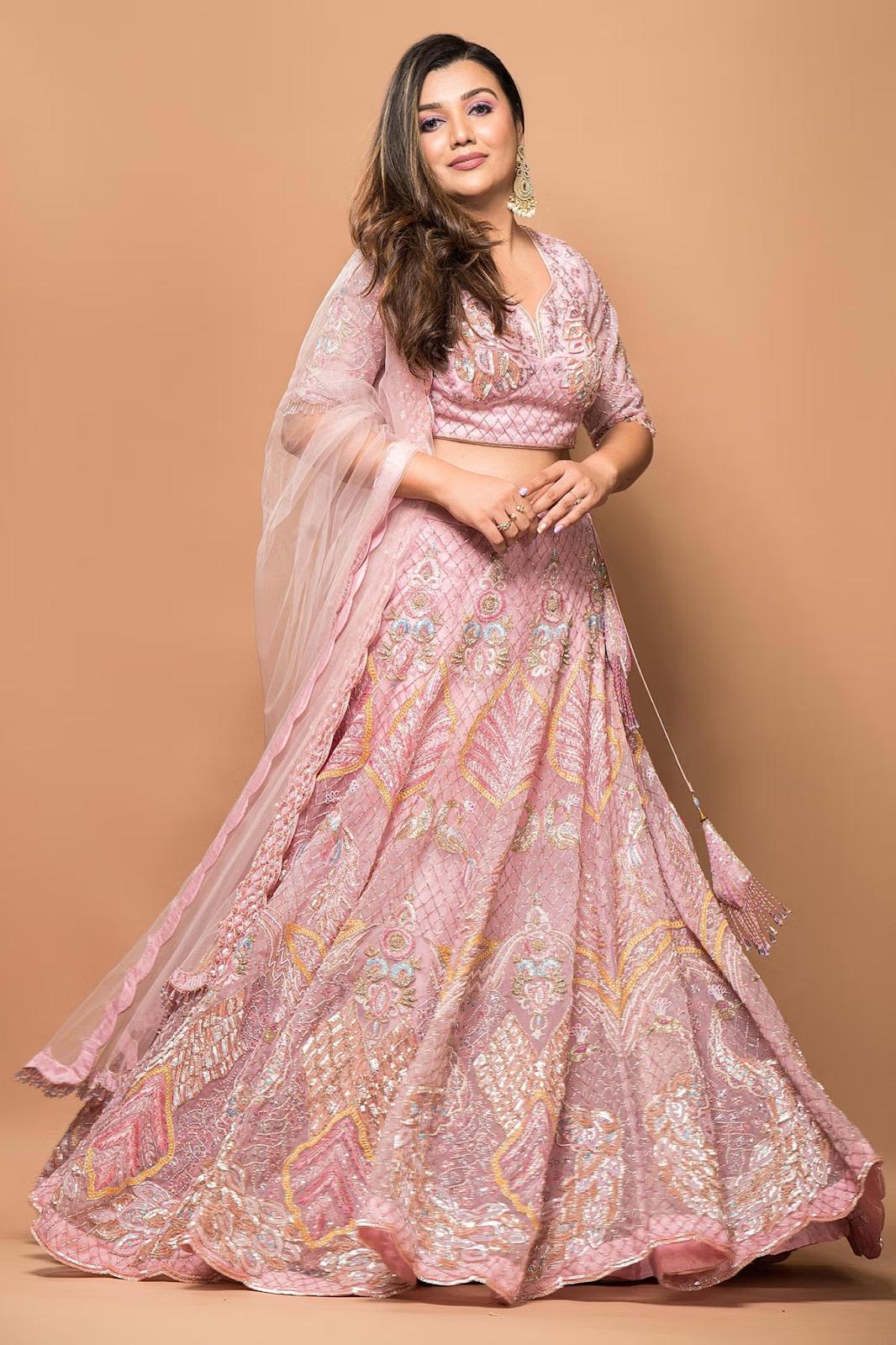 Buy Silver Sabyasachi Lehenga Choli for Women, Wedding Wear Butterfly Net  Simple Pink Lehenga Choli, Thread Zari Sequence Embroidery Work Online in  India - Etsy