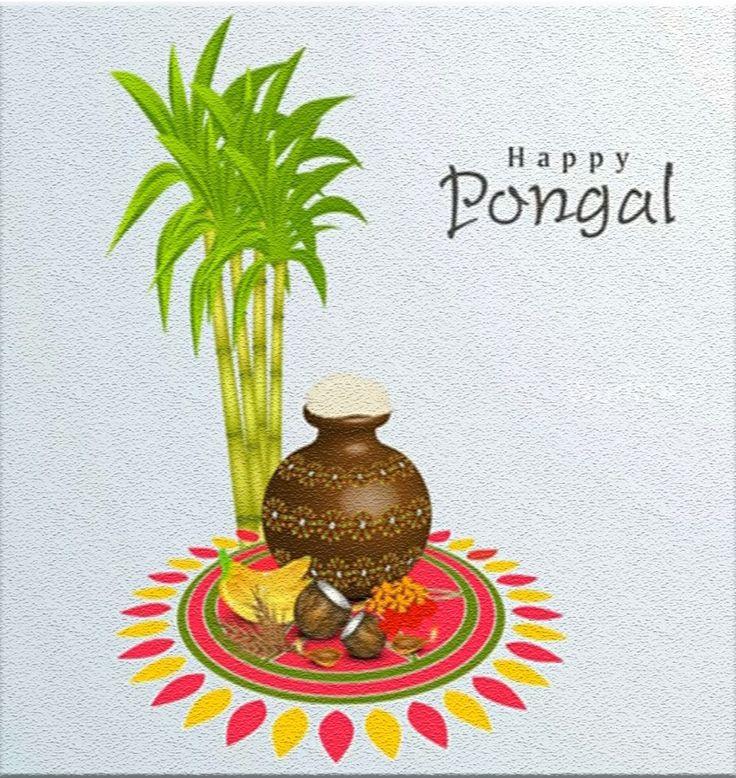 pongal wishes 2025