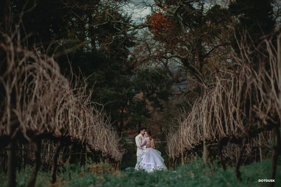 Take Your Wedding Shoot Into the Wild for Some Enchanting Photos