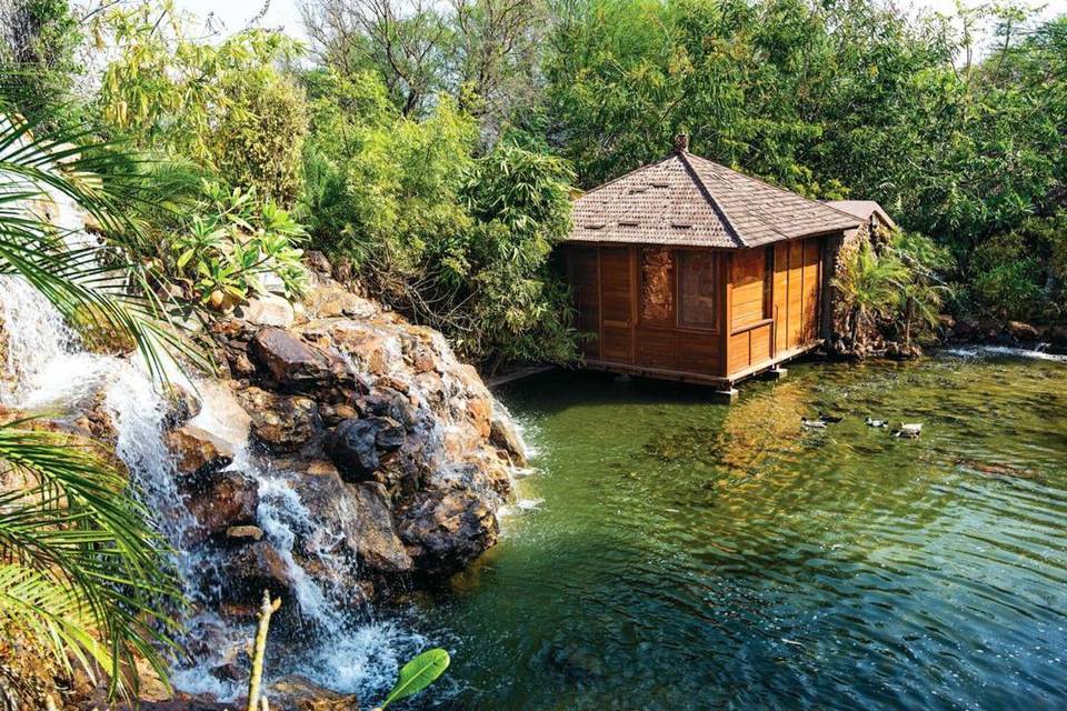 Romantic Tree Houses In India