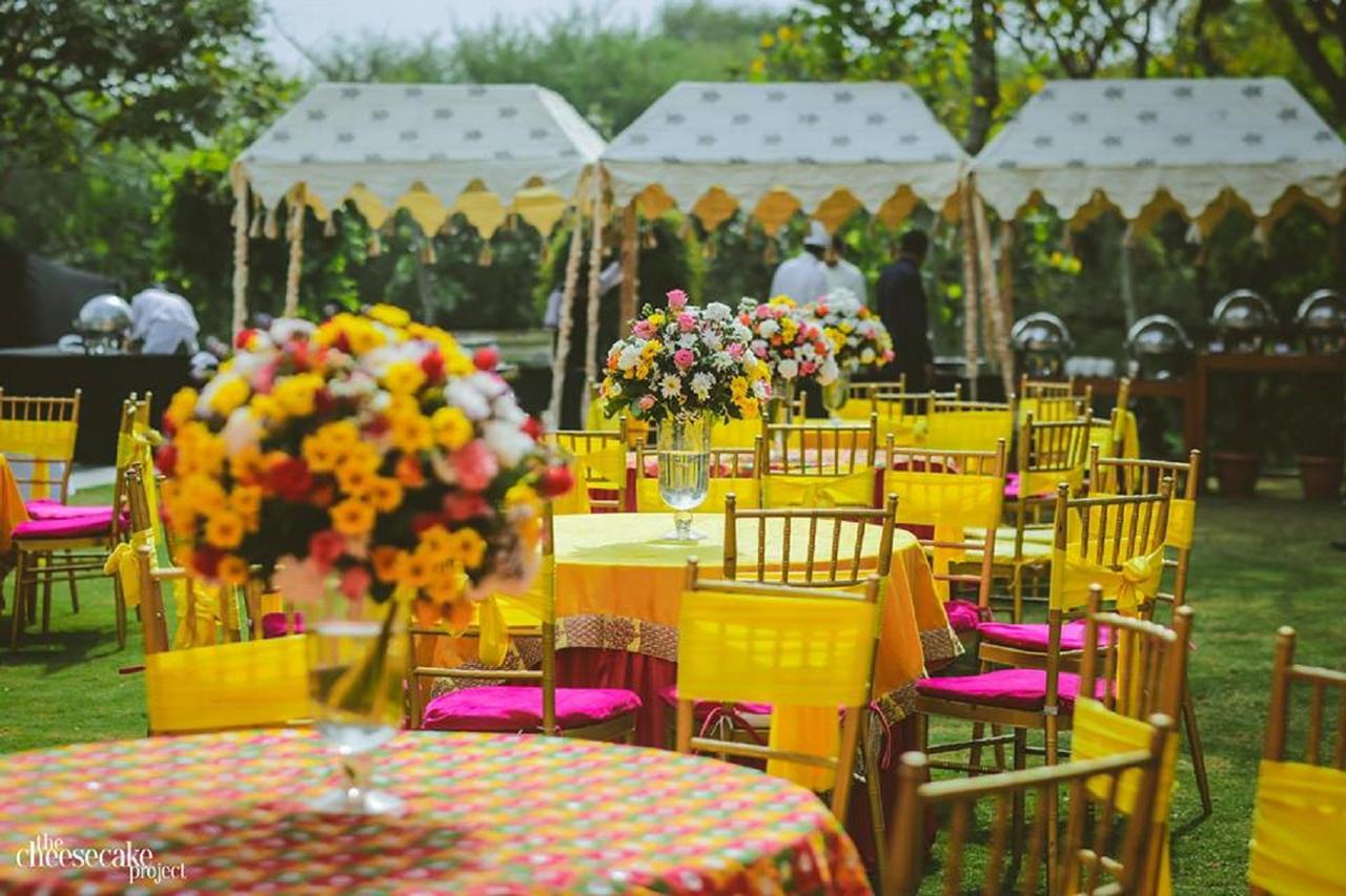 The Cheesecake Project