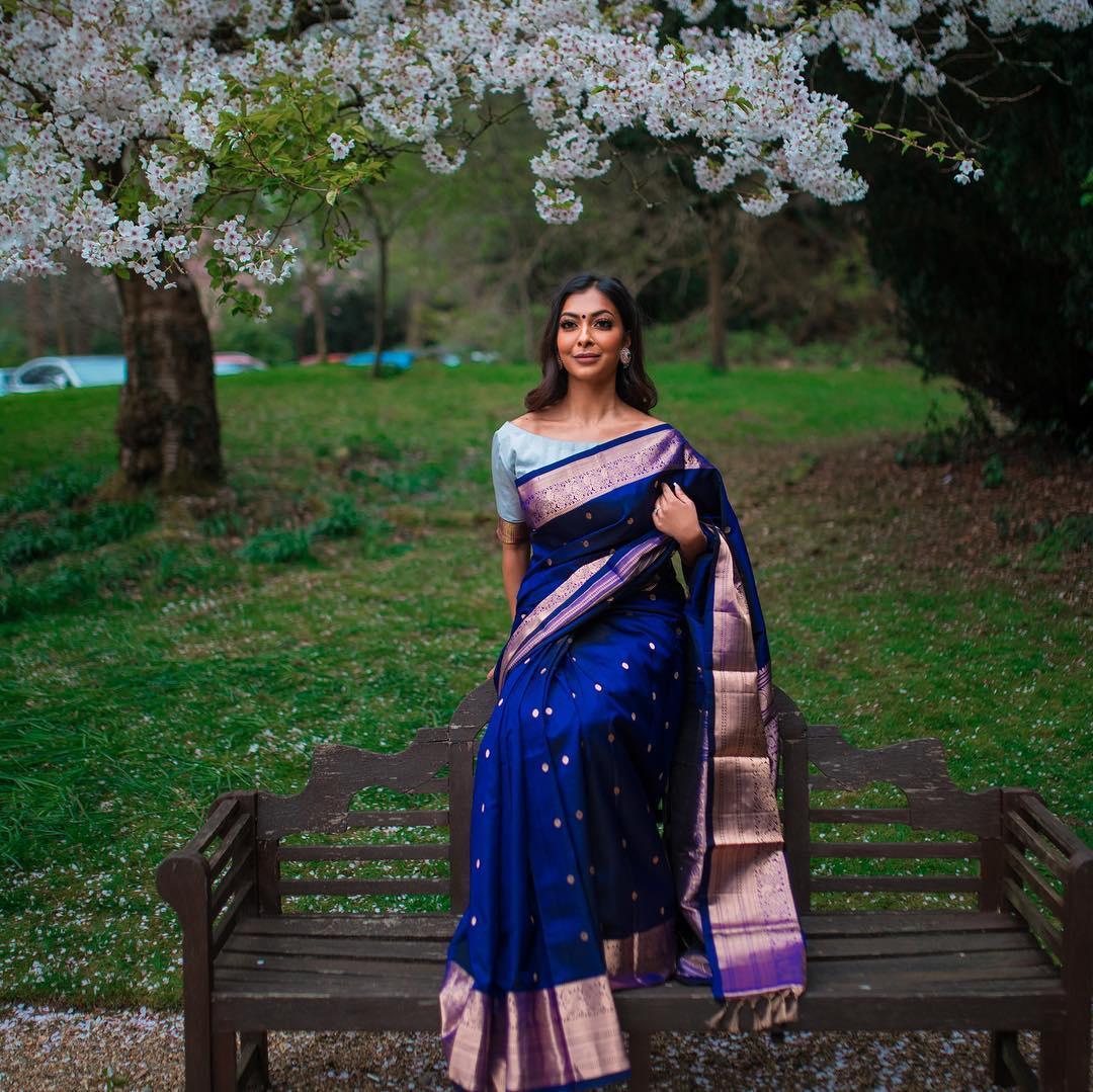 Dark Sky Blue and Rani Patola Silk Saree