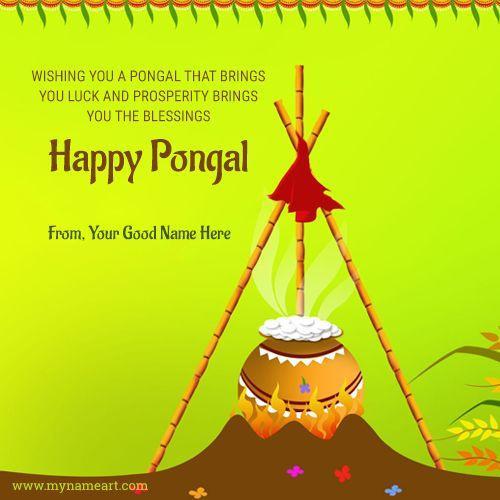 pongal wishes pictures