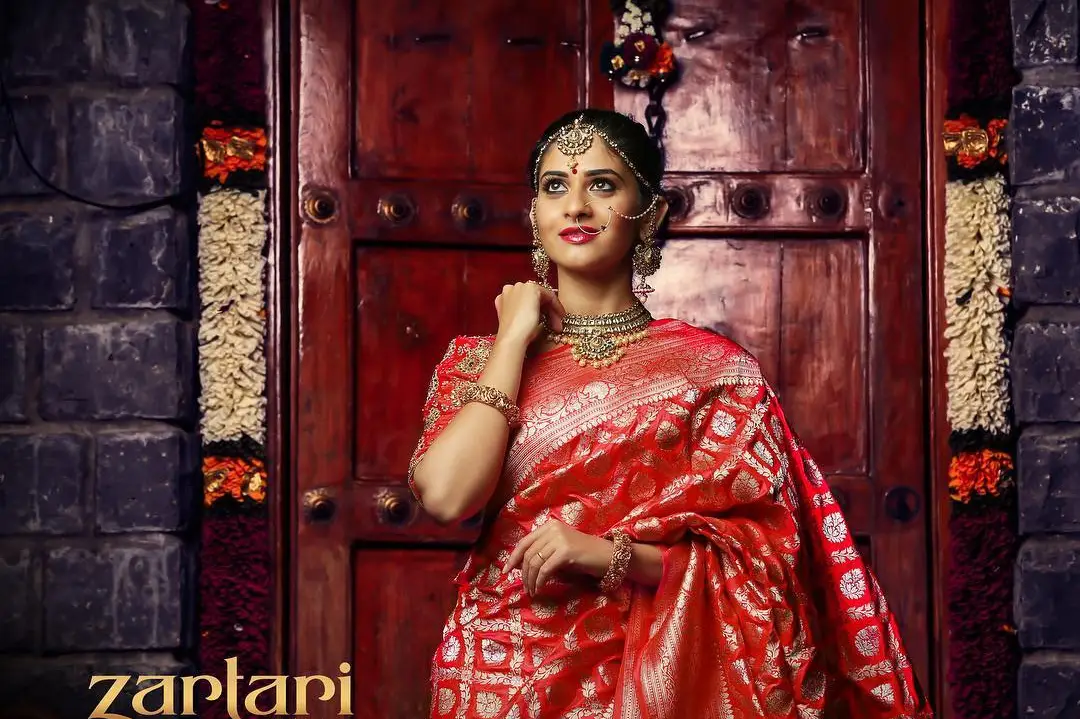 Gorgeous Indian Banarasi Saree – All You Need to Look Spectacular!
