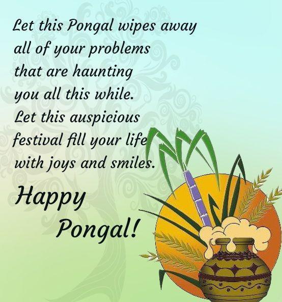 pongal wishes pictures