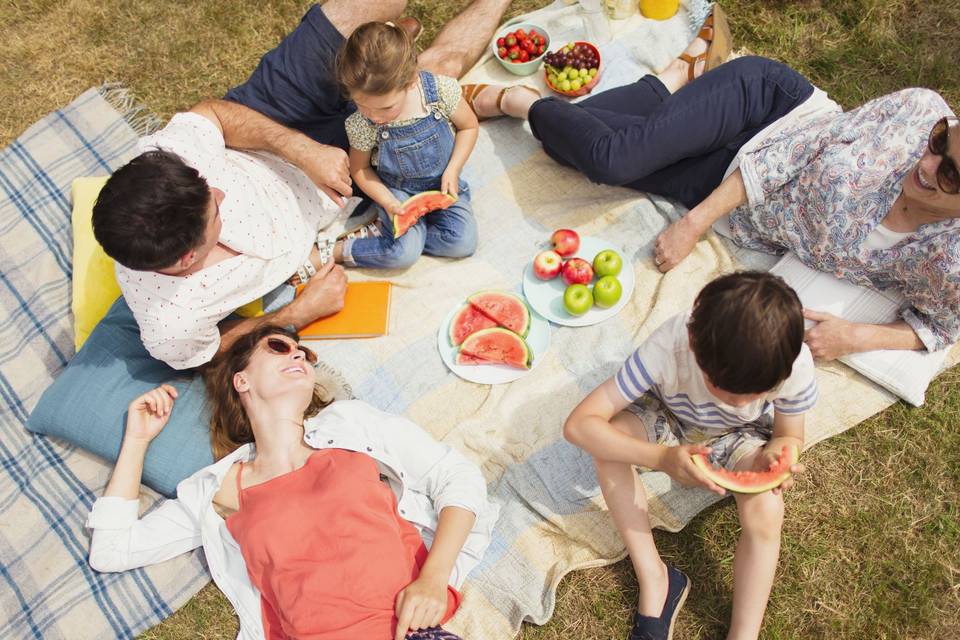 Top Picnic Spots to Celebrate This Valentine's Day With Family & Friends