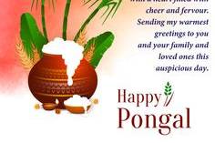 pongal wishes images