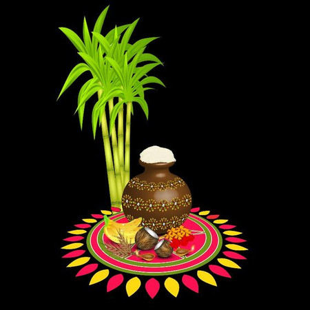 20 + Pongal Wishes Quotes For Your Loved Ones 