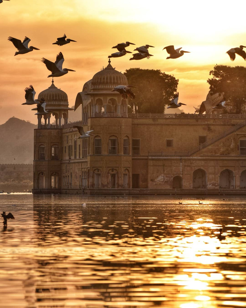 Here's Why Jal Mahal Would Be the Perfect Location for Your Magnificent ...