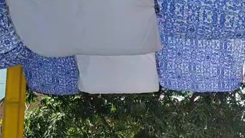 The Fern Residency, Udaipur