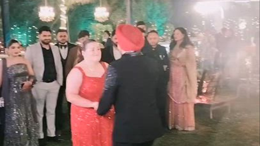 Wedding Clips
