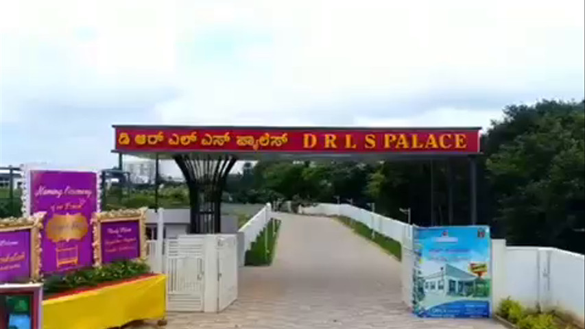 DRLS Palace 