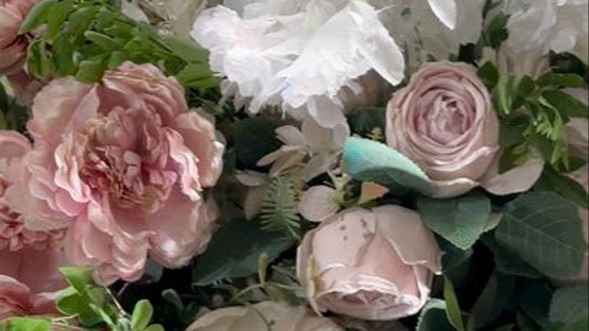 Imagine Weddings
