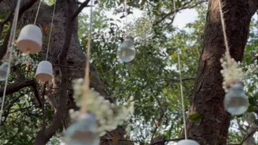 Imagine Weddings 