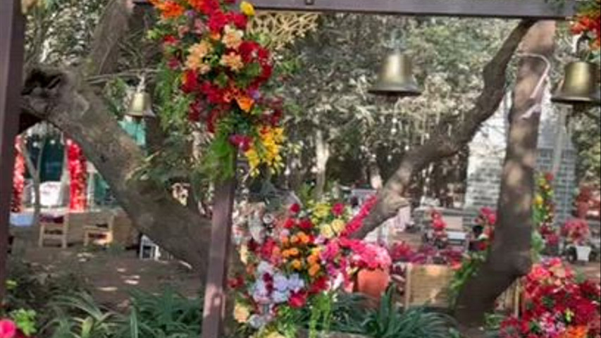 Imagine Weddings 