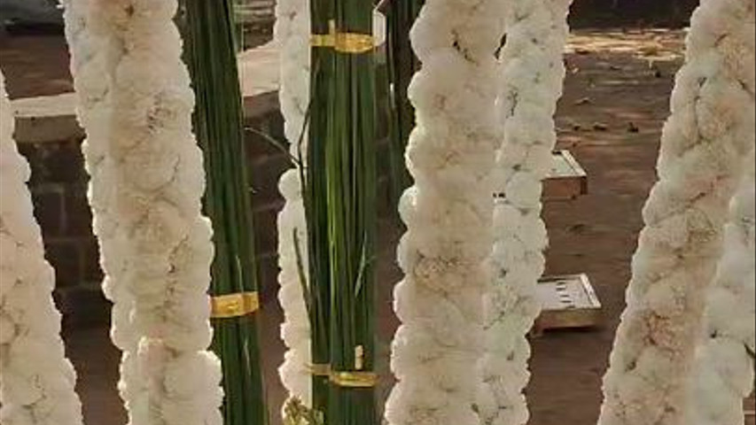 Imagine Weddings 
