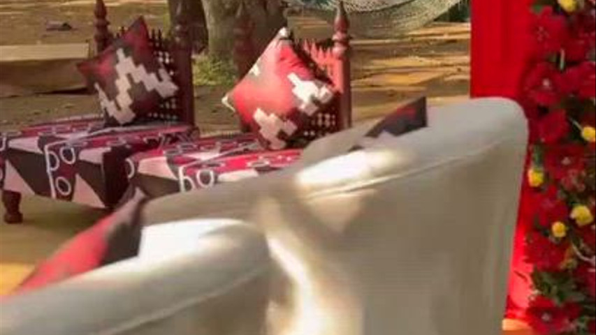 Imagine Weddings 