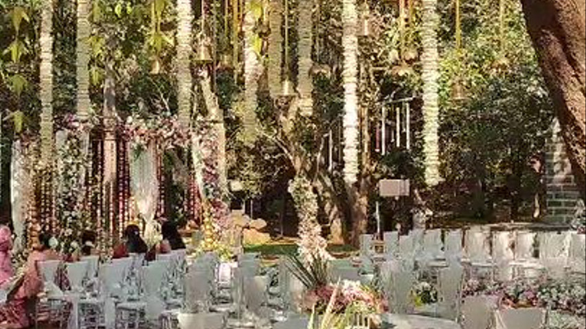 Imagine Weddings 