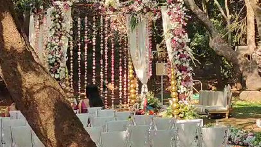 Imagine Weddings 