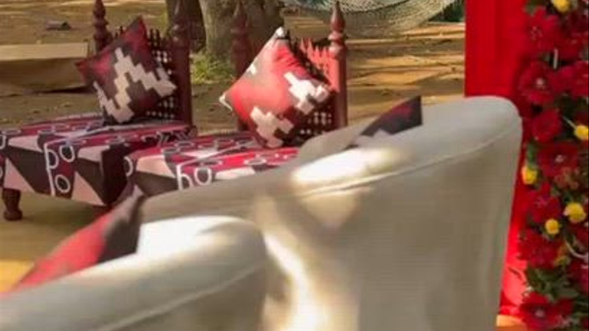 Imagine Weddings 