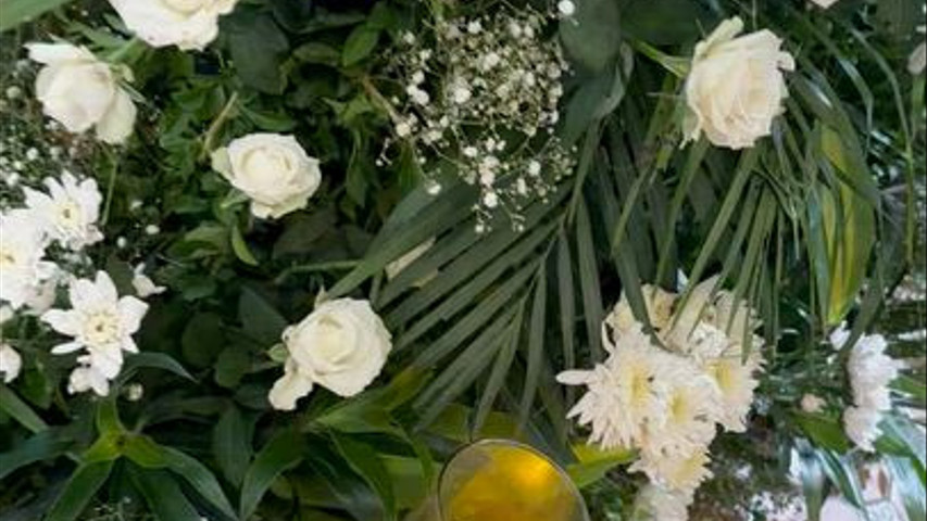 Imagine Weddings 