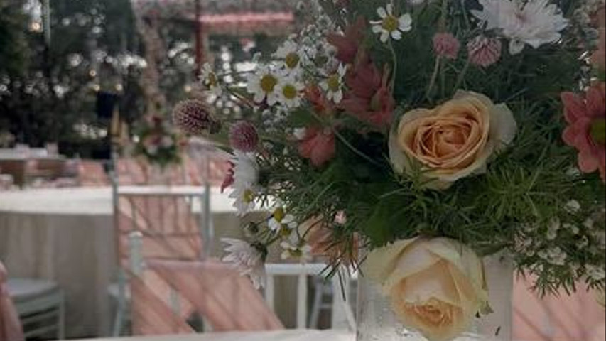 Imagine Weddings 