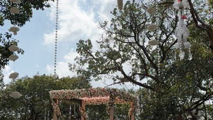Imagine Weddings 