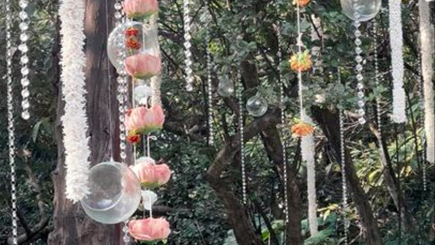Imagine Weddings 