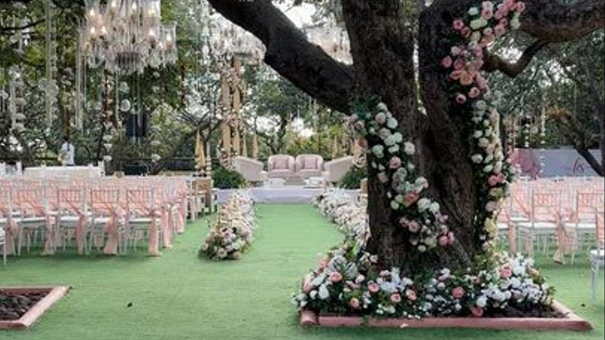 Imagine Weddings 