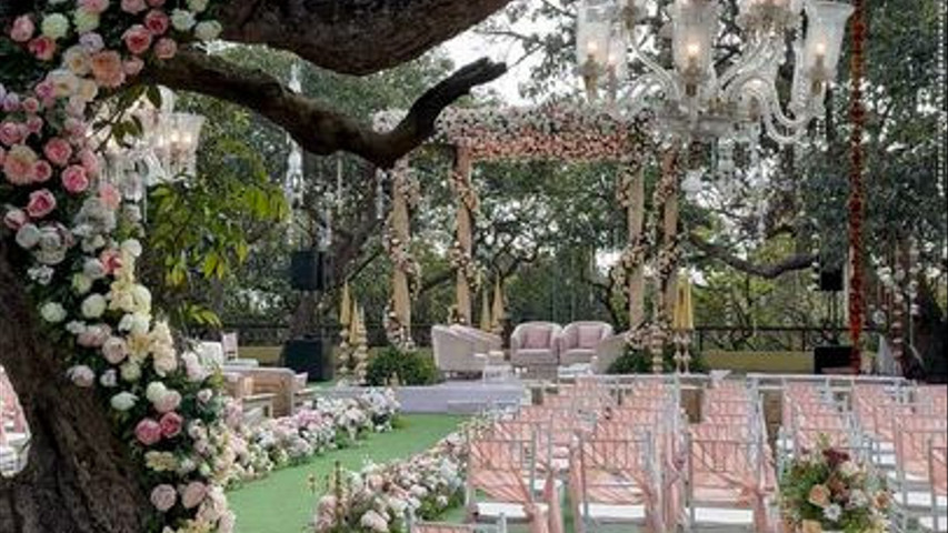 Imagine Weddings 