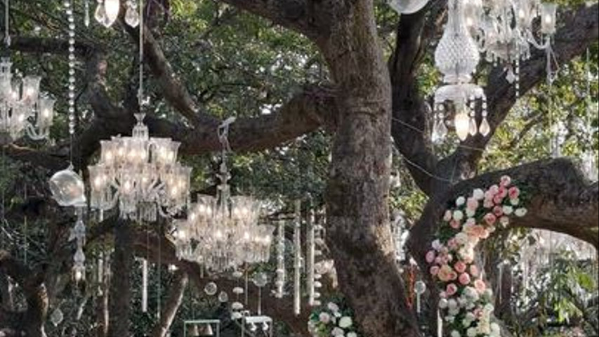 Imagine Weddings 