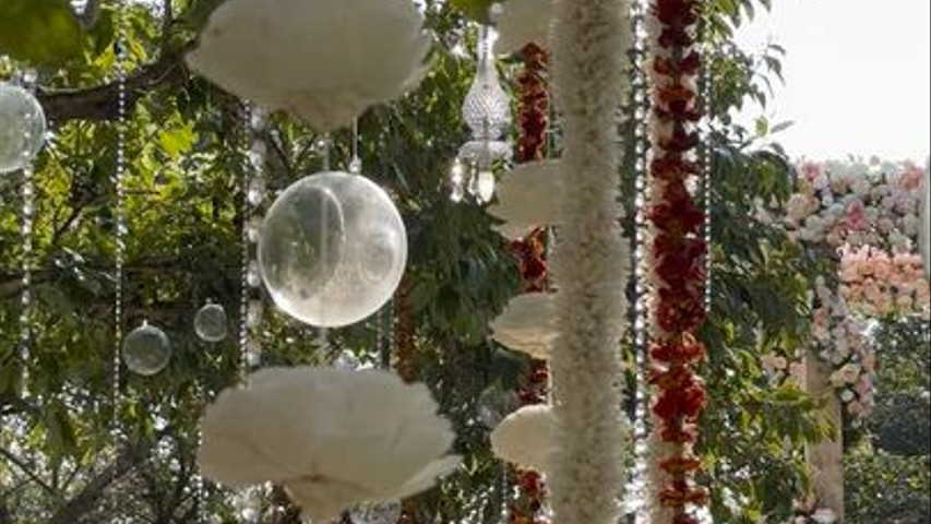 Imagine Weddings 