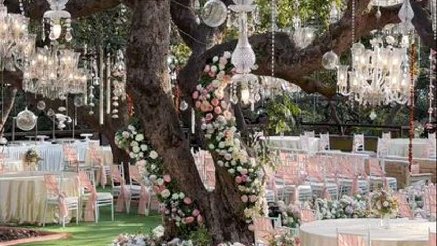 Imagine Weddings 