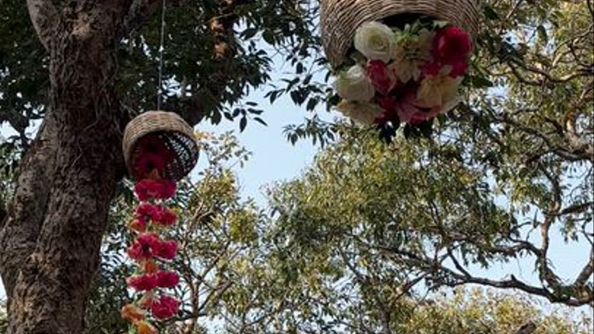 Imagine Weddings 