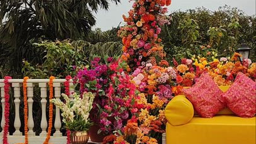 Imagine Weddings 