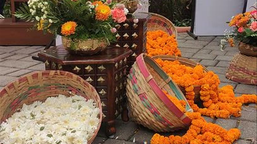 Imagine Weddings 