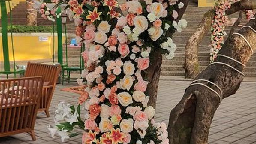 Imagine Weddings 
