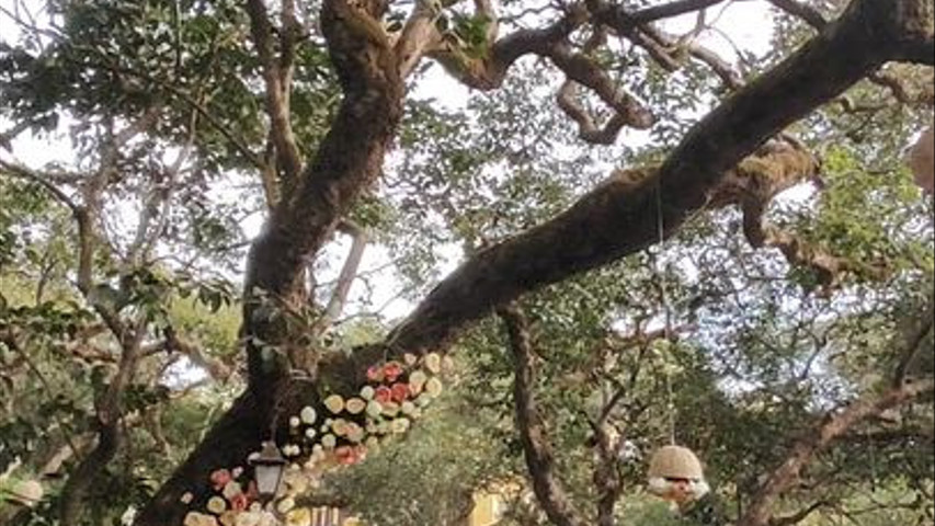 Imagine Weddings 