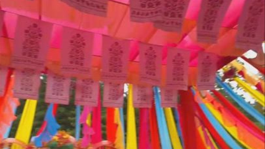 Haldi and carnival decor