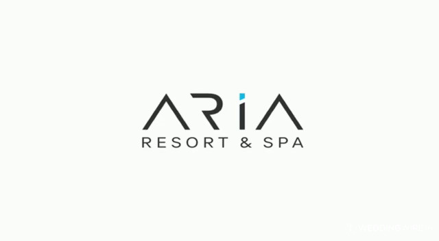 Aria resort video