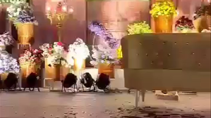 Reception Stage Decors 